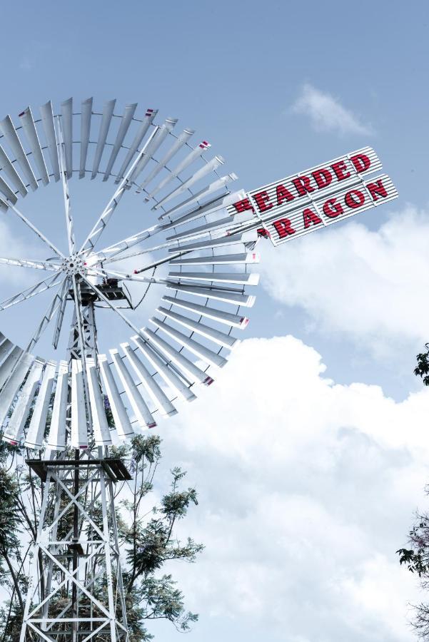 The Bearded Dragon Boutique Hotel Mount Tamborine Exterior photo