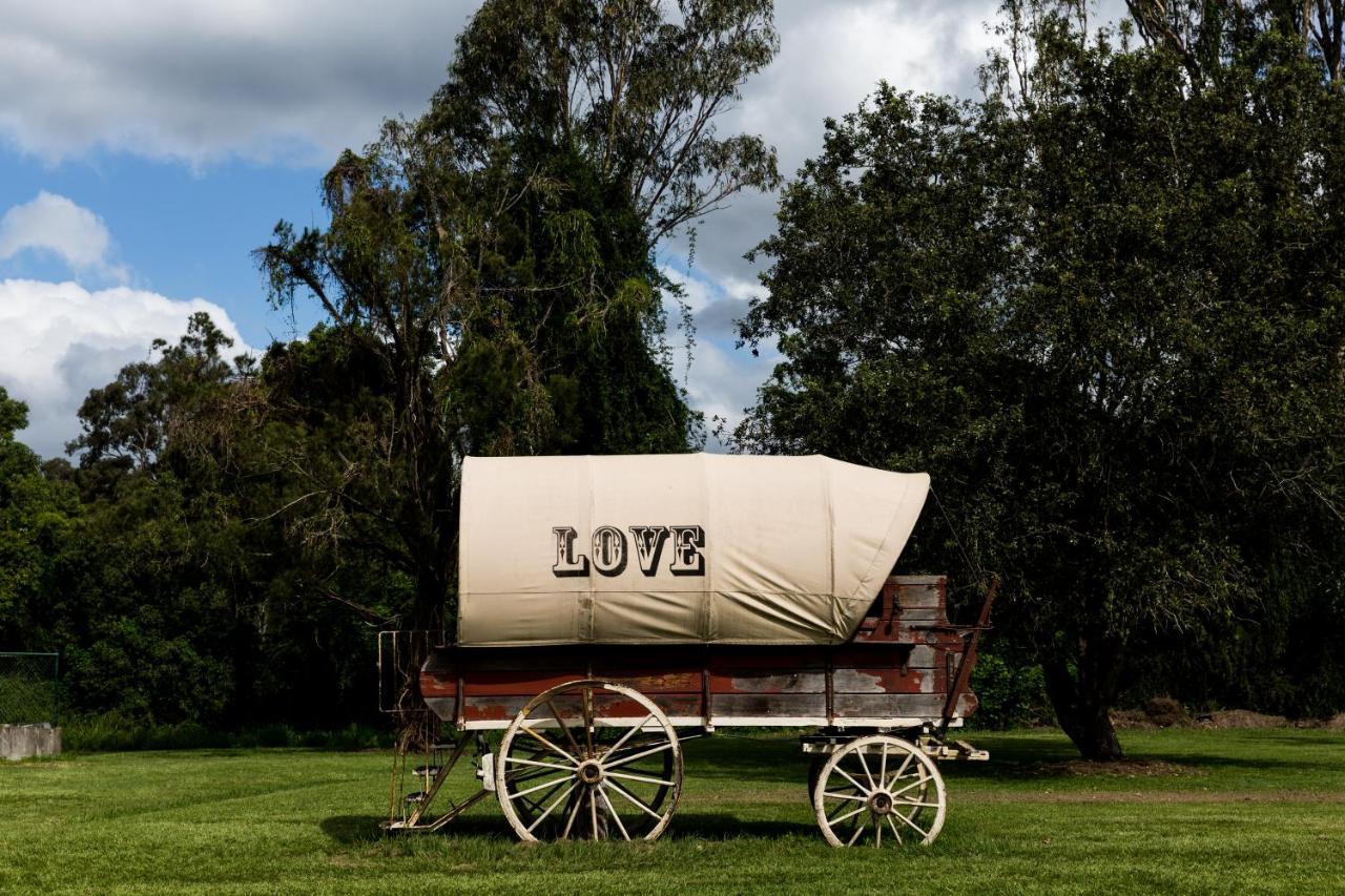 The Bearded Dragon Boutique Hotel Mount Tamborine Exterior photo