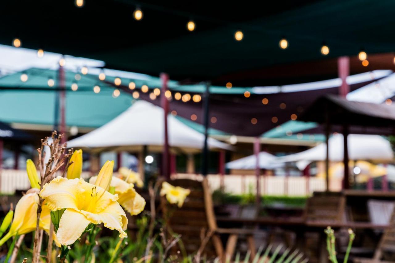 The Bearded Dragon Boutique Hotel Mount Tamborine Exterior photo