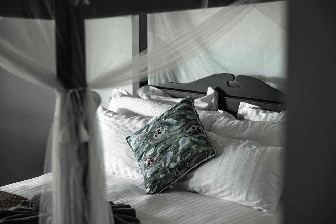 The Bearded Dragon Boutique Hotel Mount Tamborine Exterior photo